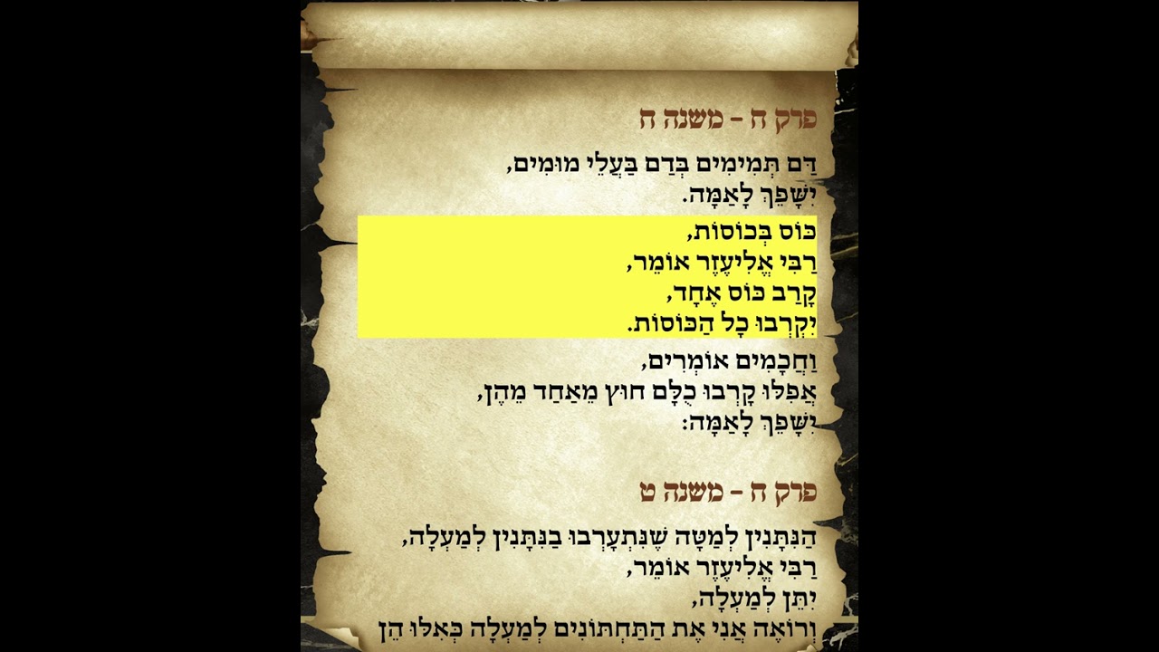 משניות זבחים פרק ח משנה ח