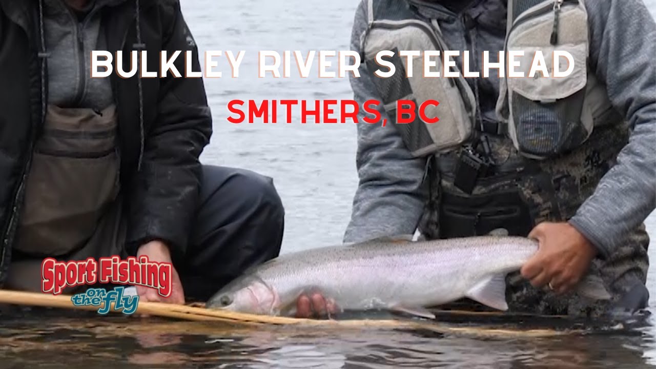FLY FISHING: BULKLEY RIVER STEELHEAD
