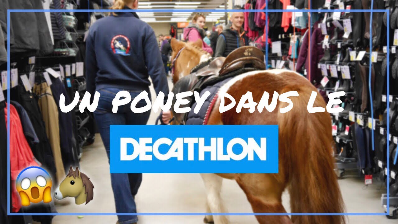 UN PONEY DANS LE DÉCATHLON?!!😨🐴