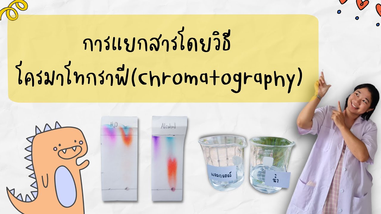 การทดลอง เรื่อง การแยกสารโดยวิธีโครมาโทกราฟีแบบกระดาษ (paper chromatrography)