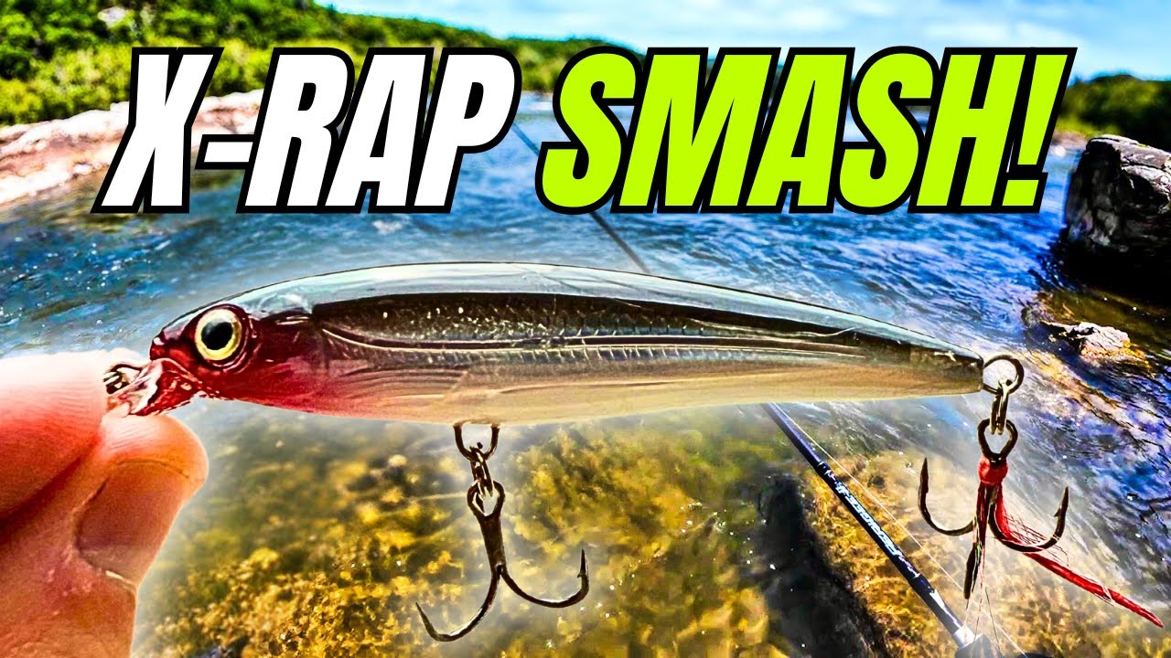 Potomac River Smallmouth Bass - Spring Fishing in Wild & Wonderful WV!