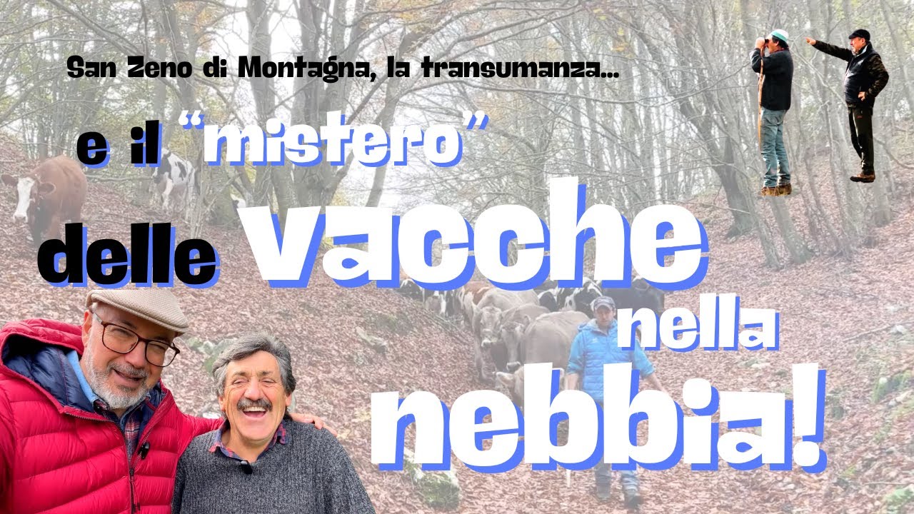 La Transumanza e il 
