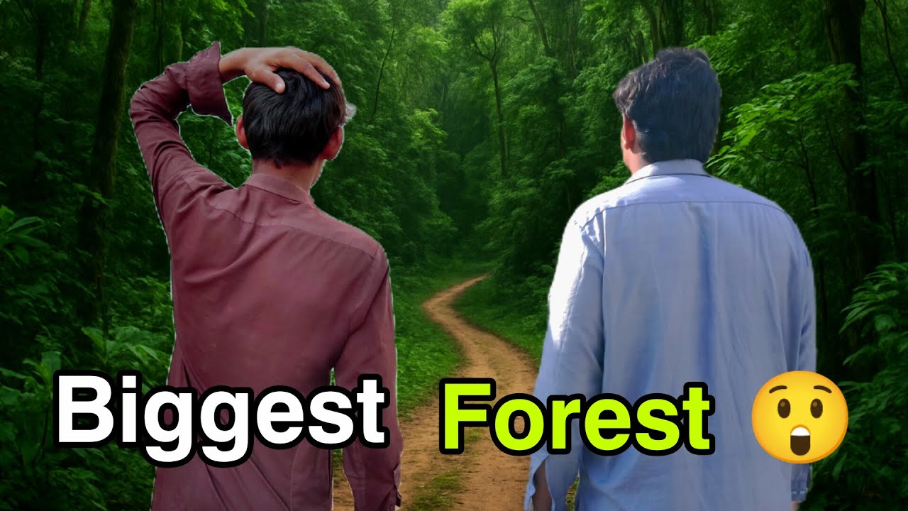 I Explored The BIGGEST Forest in My Village! | #vlog #vlogging #viral