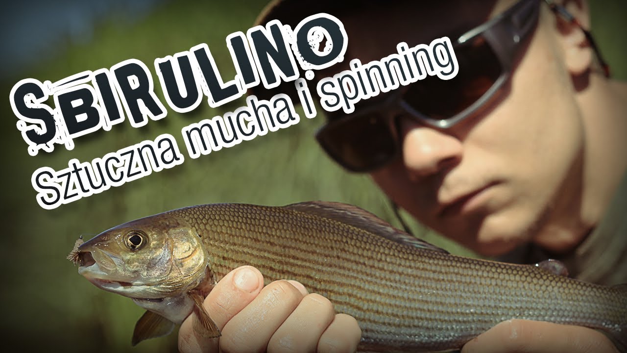 Łowimy na spinning sztucznymi muchami - sbirulino