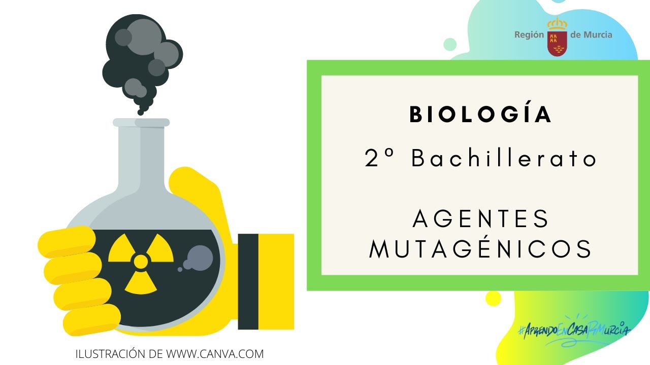 AGENTES MUTAGÉNICOS