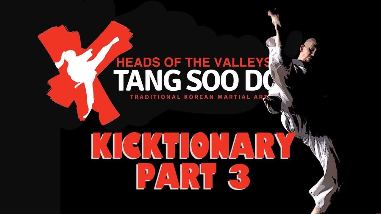TANG SOO DO KICKTIONARY  - PART 3 (350 Kicks)