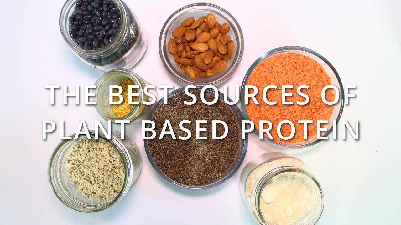 The Best Sources of Plant Based Protein