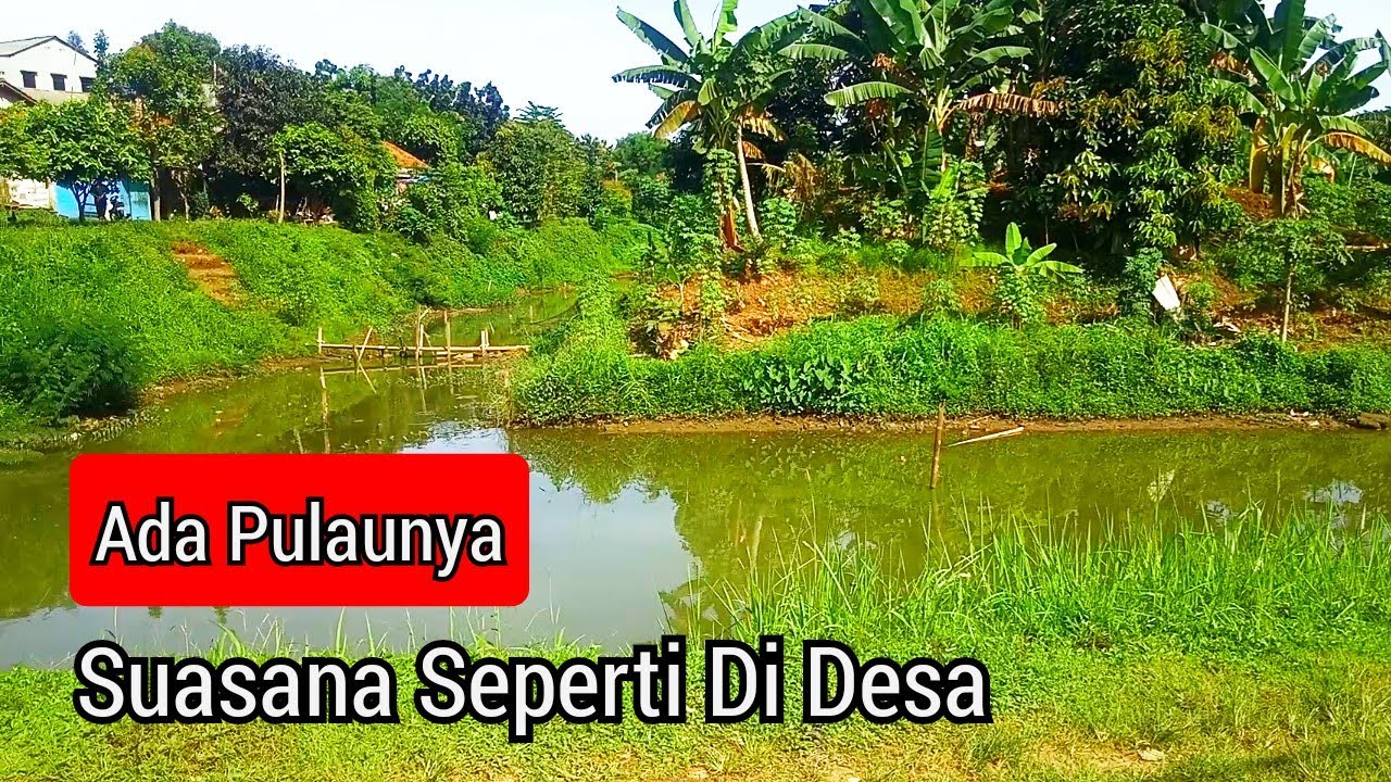 Spot Mancing Di Jakarta Selatan 🇲🇨 || Banyak Ikan Mujair,  Gabus, Lele