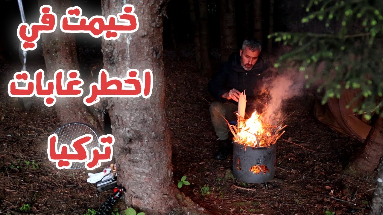 يوم في غابه | تخييم في غابه |1 day solo bushcraft