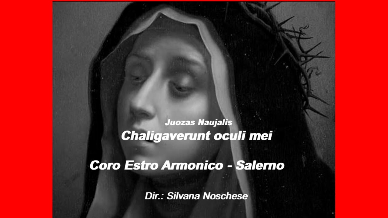 Caligaverunt oculi mei -Juozas Naujalis- Coro Estro Armonico - Salerno