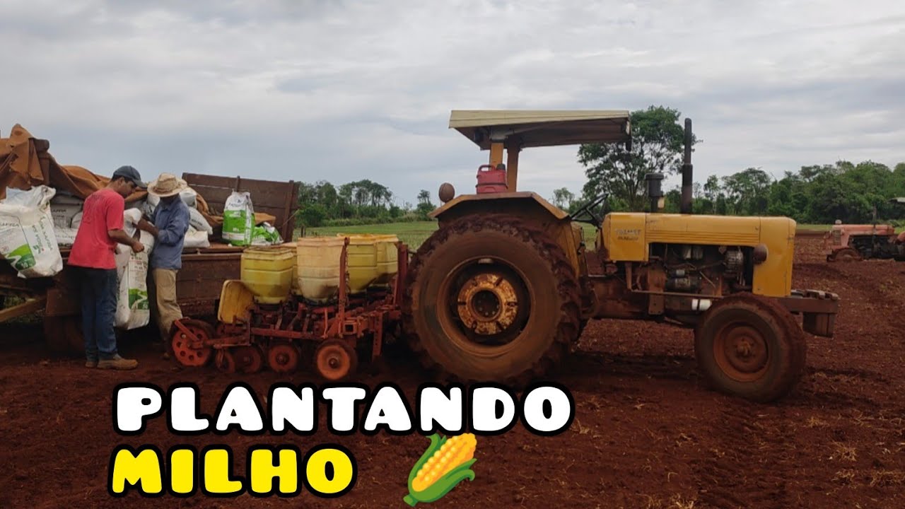 PLANTADEIRA MENEGAZ 3 LINHAS. PLANTIO DE MILHO 🌽 MORGAN. SÍTIO BOA VISTA!!!