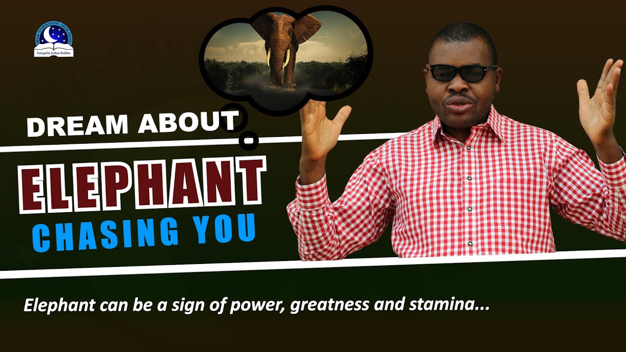 Dream About Elephant Chasing You - Meaning and Interpretations