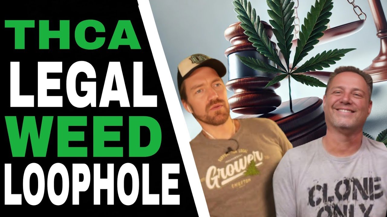 THCA The Cannabis Loophole Everyone&rsquo;s Using!