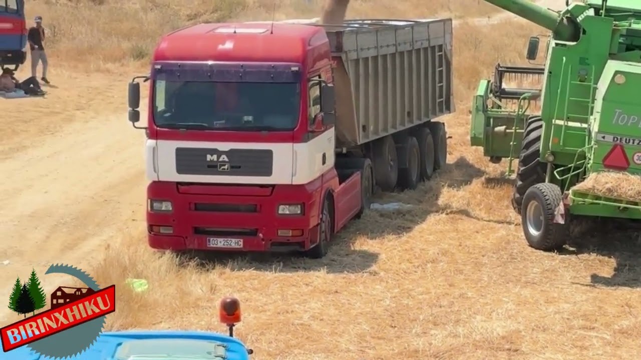 Complete Wheat Harvesting Process with Combine Harvester | Birinxhiku Farm