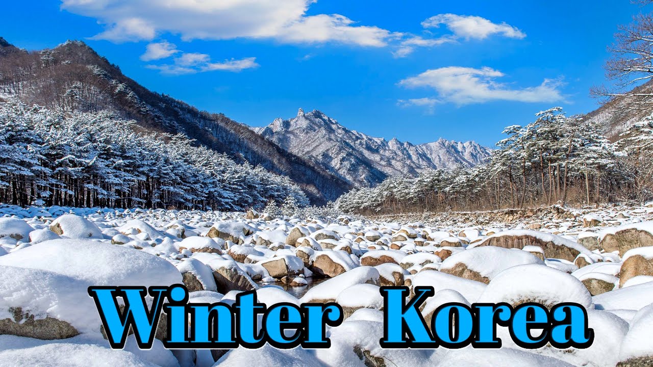 Winter korea Asan Si | Chasing Snowflakes in korea's Hidden Winter Corners | Snowfall in village