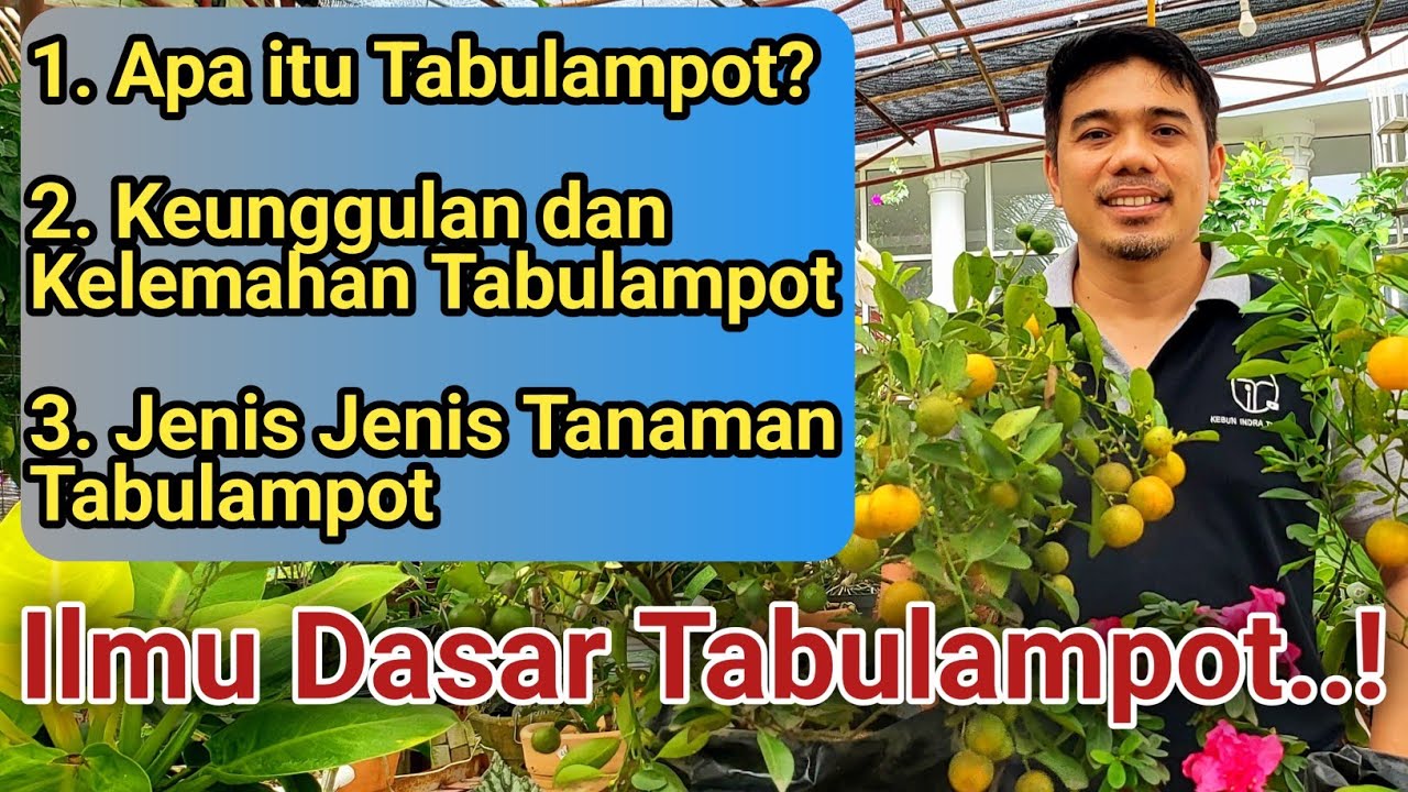Wajib Tahu ilmu Dasar Tabulampot, Manfaat tabulampot, Tanaman Untuk Tabulampot, Tanaman Buah di Pot