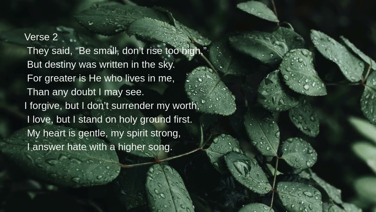 Guarded by Grace Song
