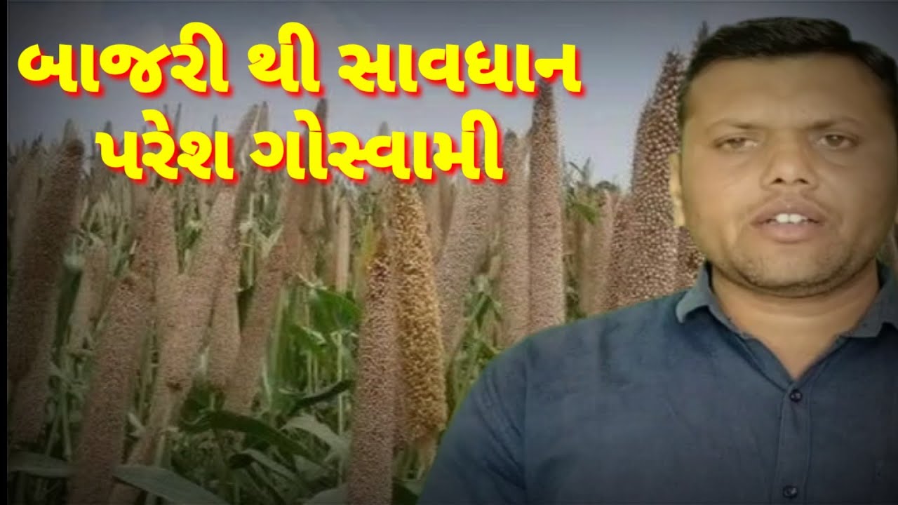 ઉનાળાના બાજરી વિષે માહિતી પરેશ ગોસ્વામી = unalu bajari ni mahiti paresh Goswami weathertv