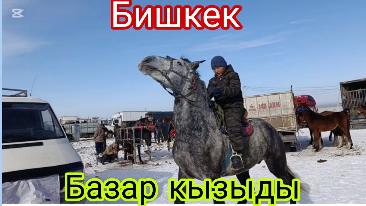 24- Январь Сокулук мал базар 