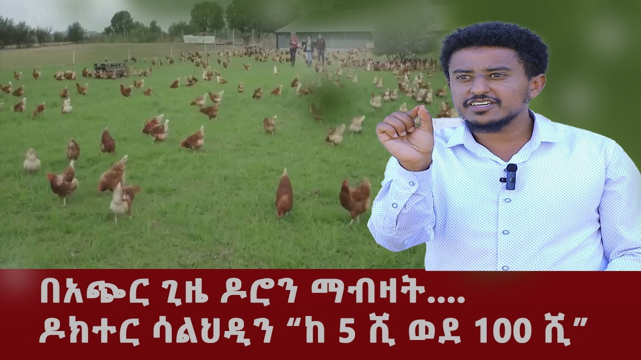 አስገራሚና የማይታመን ስራ !! ከቄብ ዶሮ በወር ከ 100 ሺ  ብር በላይ በዶክተር ሳልሀዲን!!