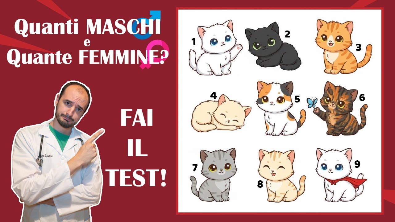 Sai riconoscere i gatti maschi e femmine? Fai il test del colore!