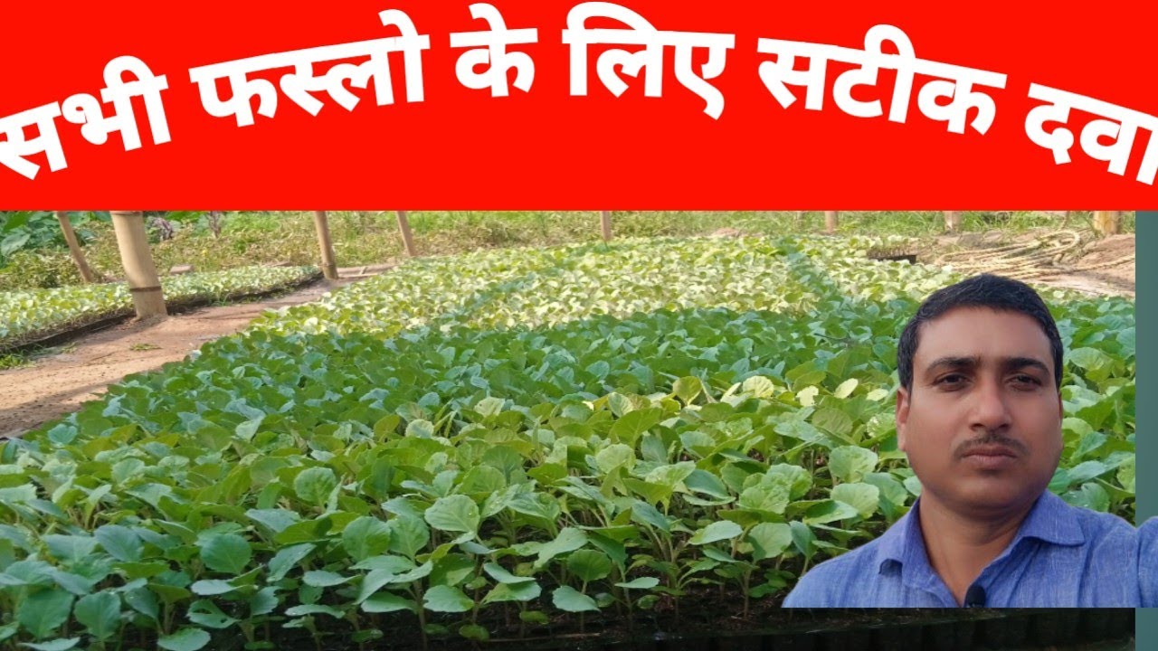 सभी फसल मे  सही दवा की चुनाव