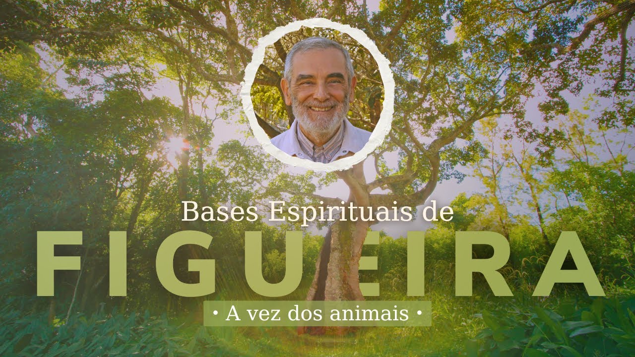TRIGUEIRINHO | A vez dos animais