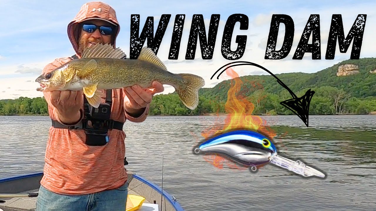 Casting Crankbaits for Wing Dam Walleye on the Mississippi River