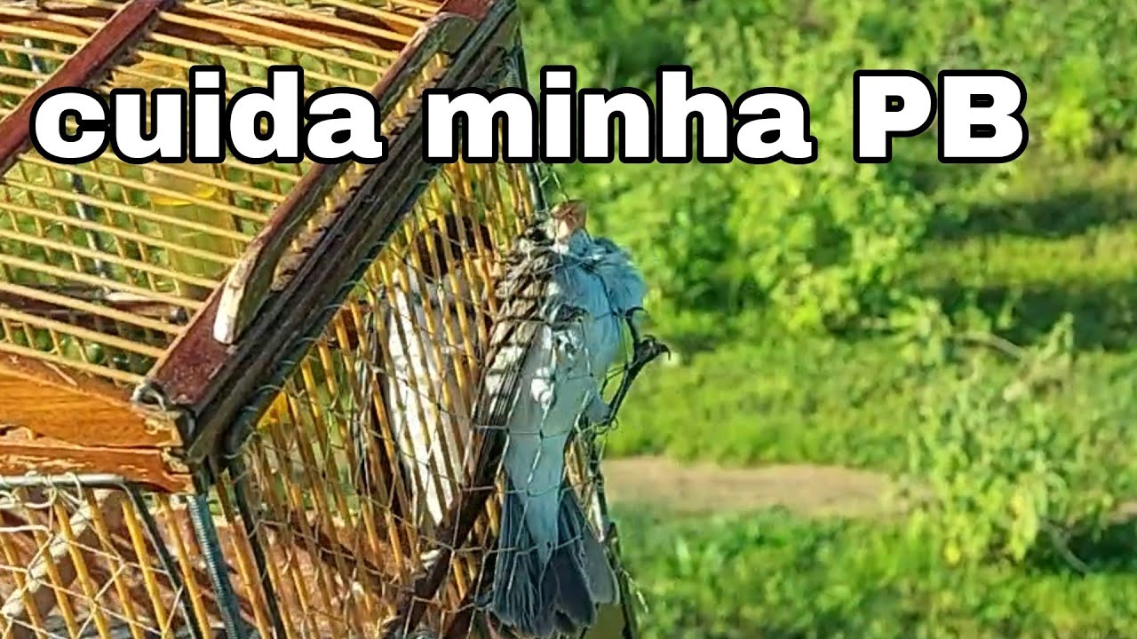 campeada estilo PB foi show