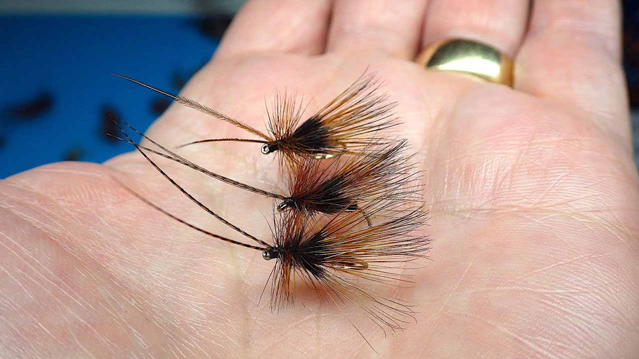 Tying a Long Hackle Caddis Alder by Davie McPhail