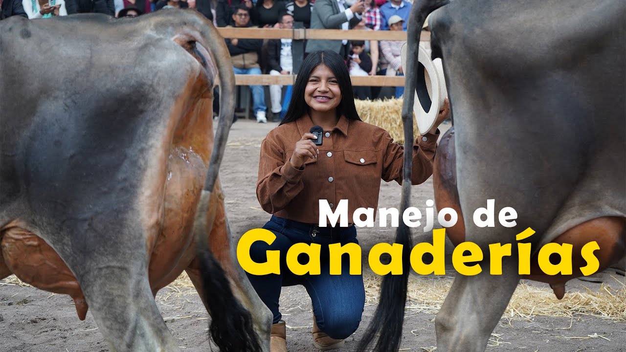 As&iacute; se maneja una Finca para el &Eacute;xito 🐄📈