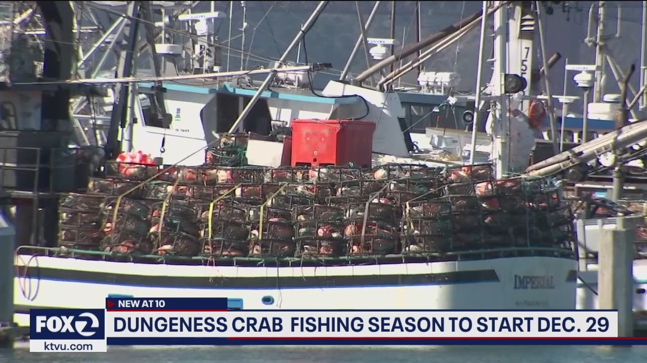 Dungeness crab fishing season to start December 29