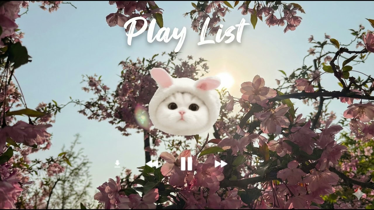 2026 봄, 설레는 시작을 위한 청량한 팝 플레이리스트 🌸 (Spring Pop, 드라이브)