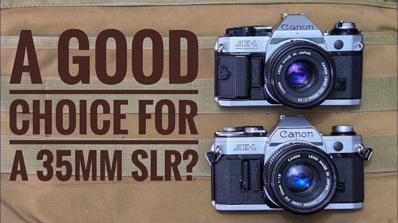 The Ever Popular Canon AE1 and AE1 Program.  Here's What You Need To Know Before Buying One.