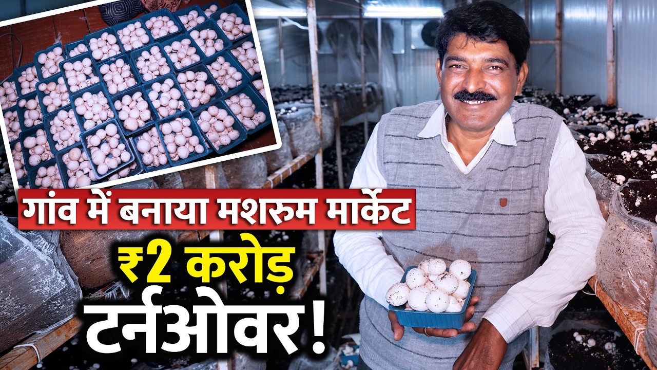 ईंट-भट्ठा छोड़ अब मशरूम से बने करोड़पति! 10 टन प्रति माह उत्पादन का पूरा गणित। ।Gaonjunctionlive