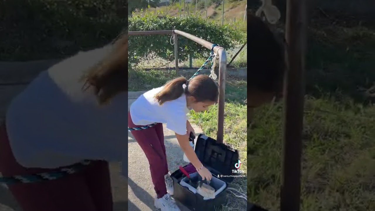 Come pulisco il cavallo
