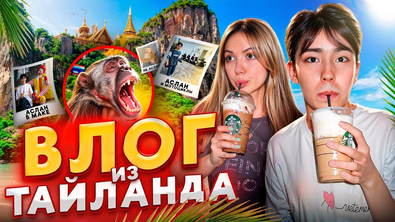 ЗАРАЗИЛСЯ БЕШЕНСТВОМ? ВЛОГ ИЗ ТАЙЛАНДА // Аслан Шукаша, Sleepy