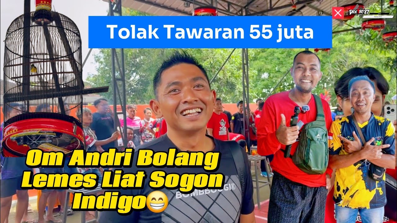 SOGON VIRAL‼️ 55 JUTA INDIGO.✅⚠️