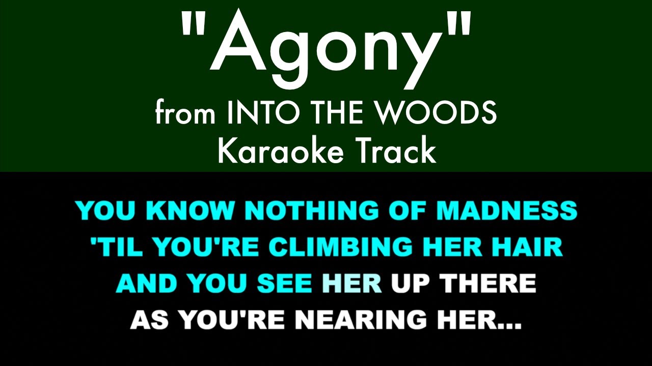 "Agony" from Into the Woods - Karaoke Track with Lyrics on Screen