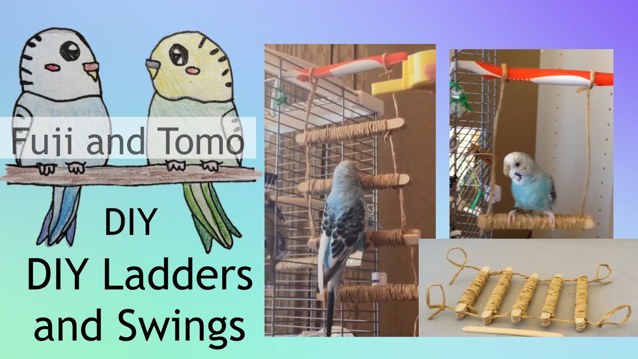 How to Make DIY Ladders and Swings | Fuji and Tomo