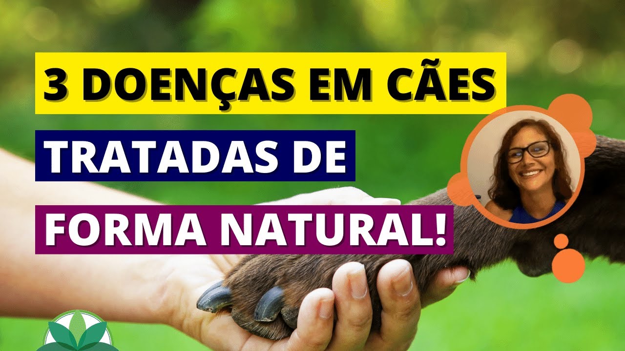 3 DOENÇAS EM CÃES tratadas de FORMA NATURAL!