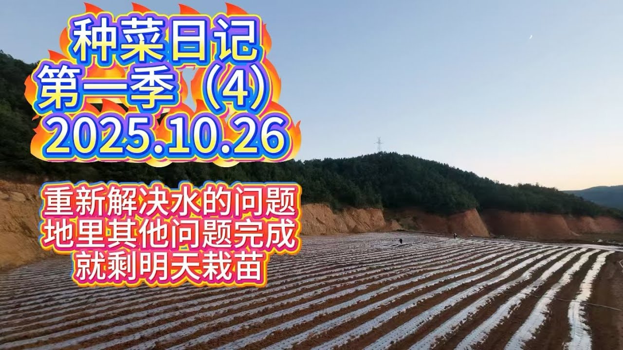 种菜日记第一季4