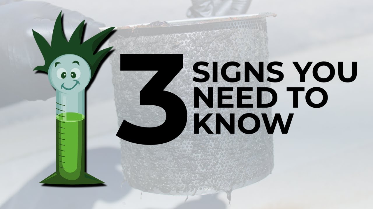 Top 3 Signs You Need to Know at the Car Wash