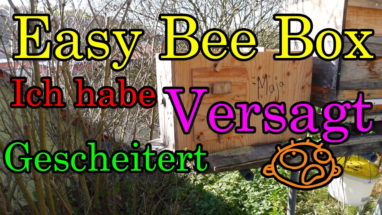 Easy Bee Box ich bin gescheitert, leider habe ich den Kampf gegen die Varroa verloren