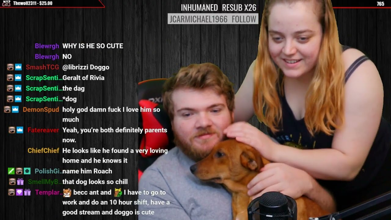 2019-09-15 | We rescued a pup! Help us name him (and figure out the breed) ｜ GreedFall Day 2 after!