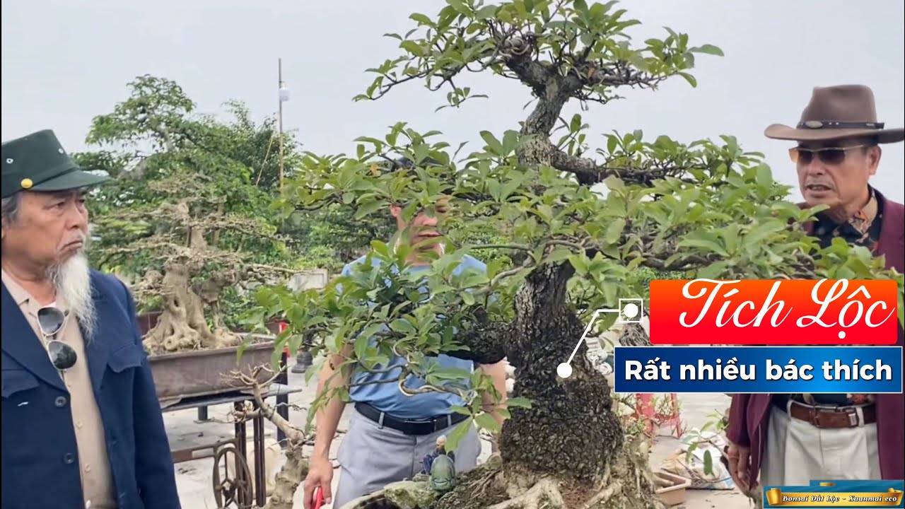 Tích lộc tác phẩm quý được rất nhiều bác yêu thích . 