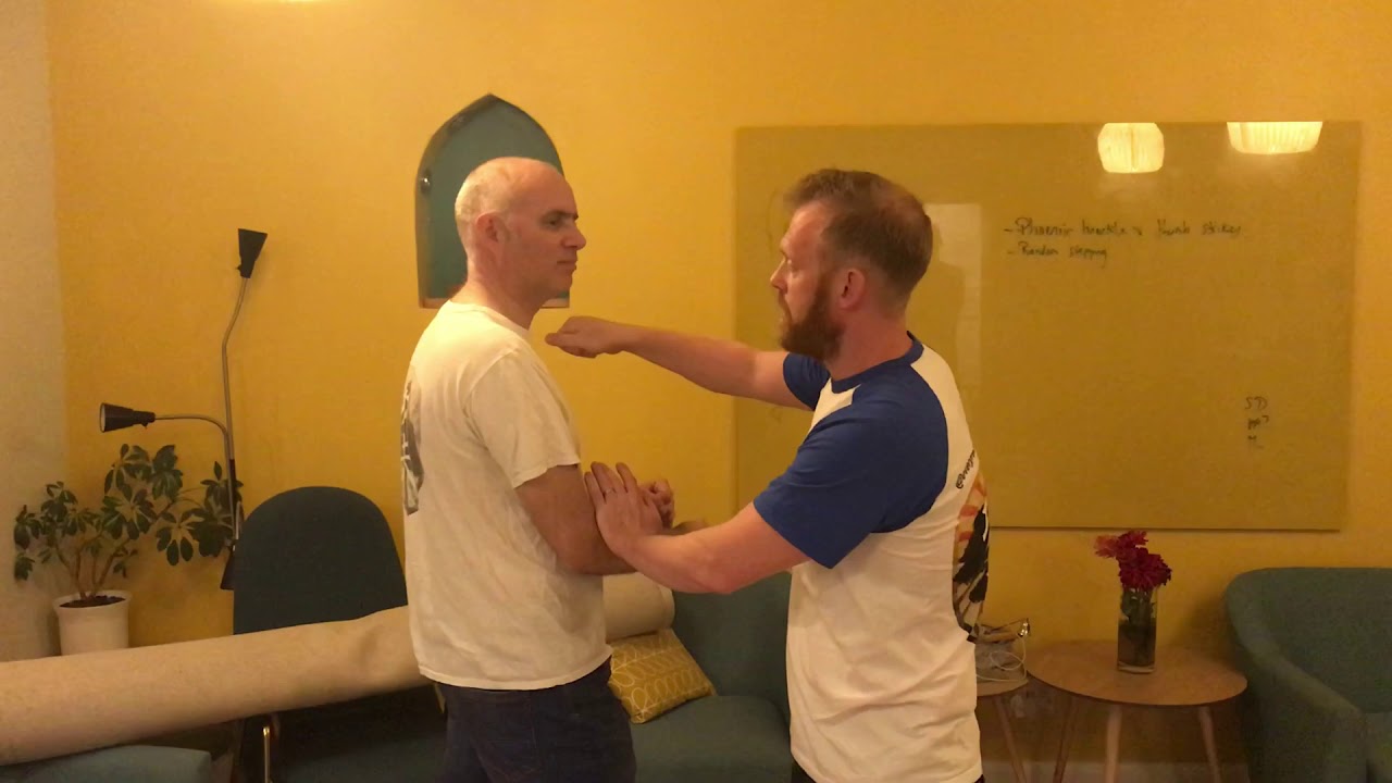 Phoenix Knuckle and Thumb Strikes in Wing Chun