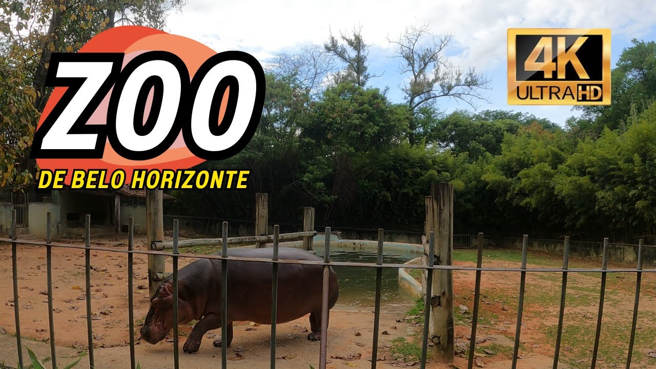🦁🐒 Zoo de Belo Horizonte 🐊🦜