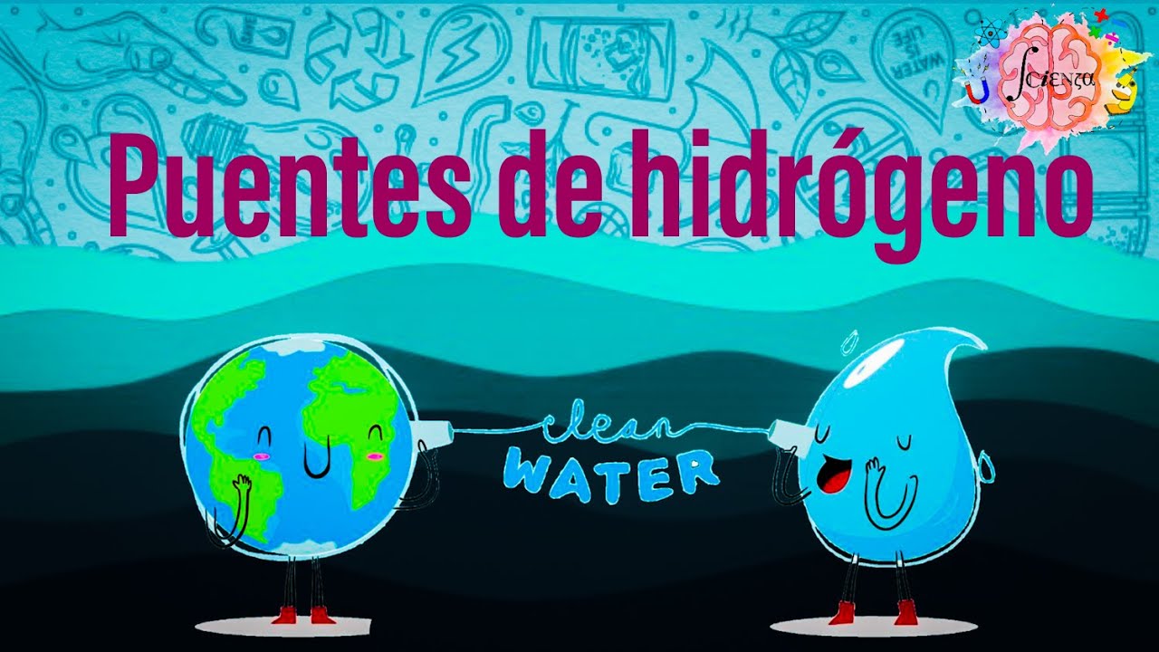 Puentes de hidrógeno en 3 minutos | ¿Qué son y cómo se forman?