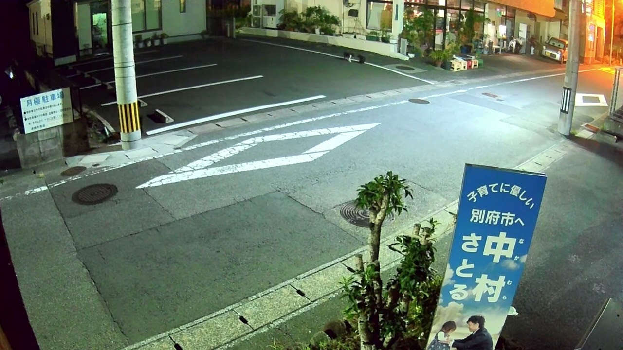 涼しくなって喧嘩の季節になりました